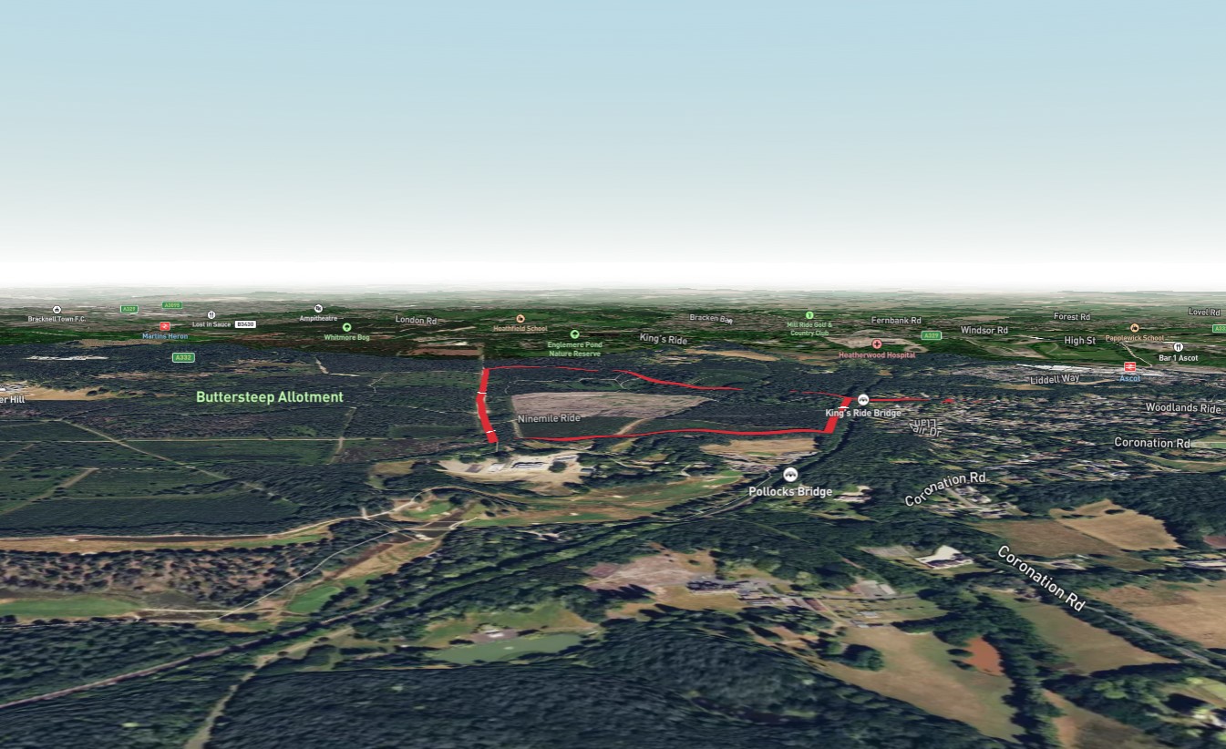 Buttersteep Forest Loop
