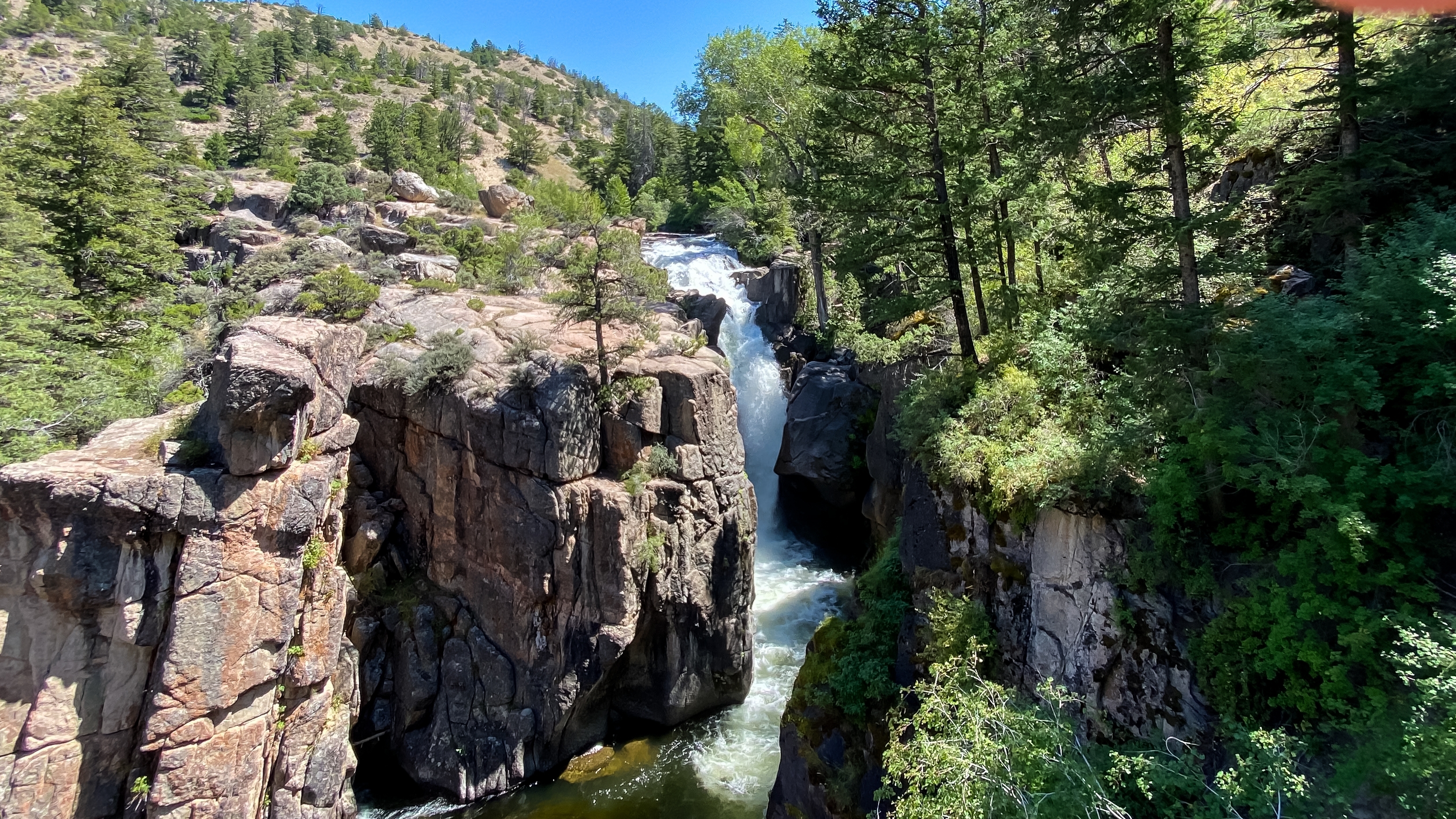 An image depicting the trail Bighorn National Forest and its surrounding area.