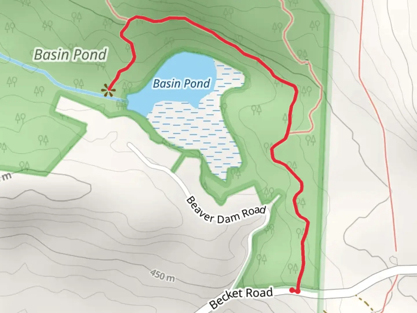 An image depicting the trail Basin Pond Trail and its surrounding area.