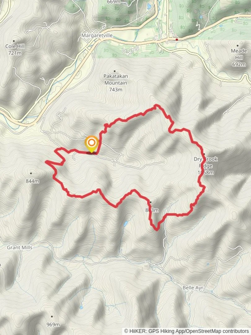 An image depicting the trail Dry Brook Ridge Loop Trail via Huckleberry Brook Road and its surrounding area.