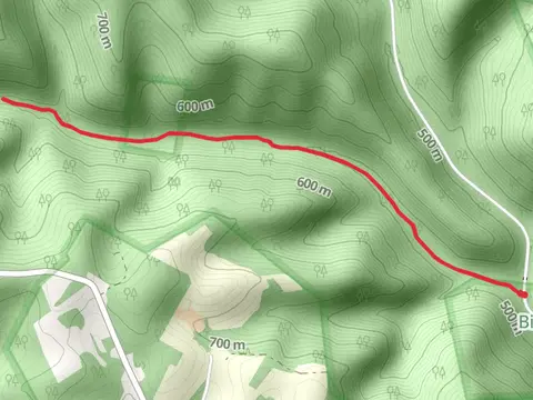 Monroe Run Hiking Trail - Short