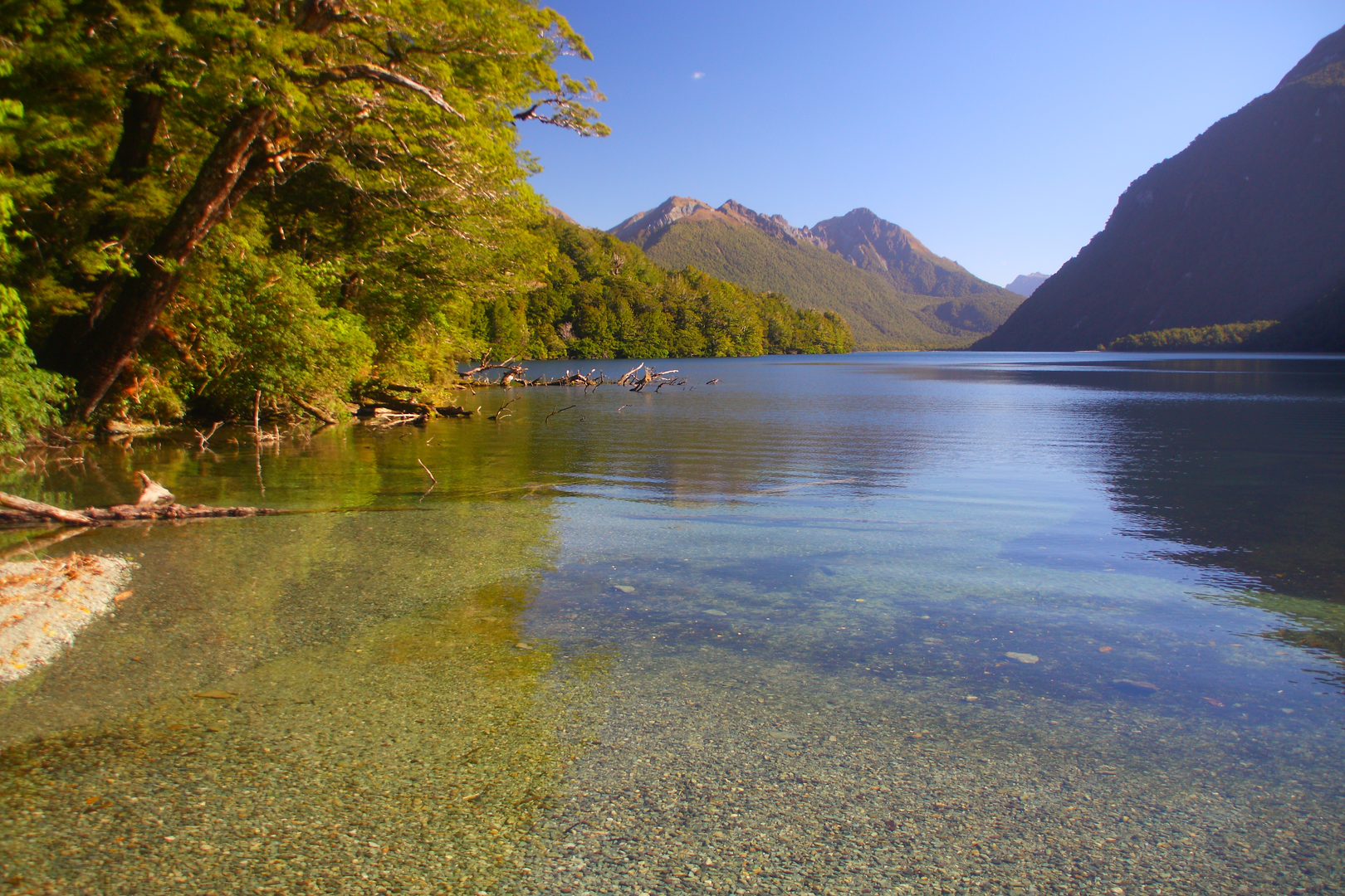 An image depicting the trail Lake Gunn Nature Walk and its surrounding area.