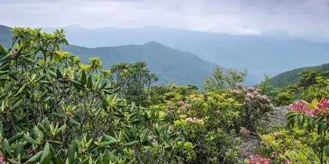 An image depicting the trail Laurel Highlands Ridge Trail and its surrounding area.