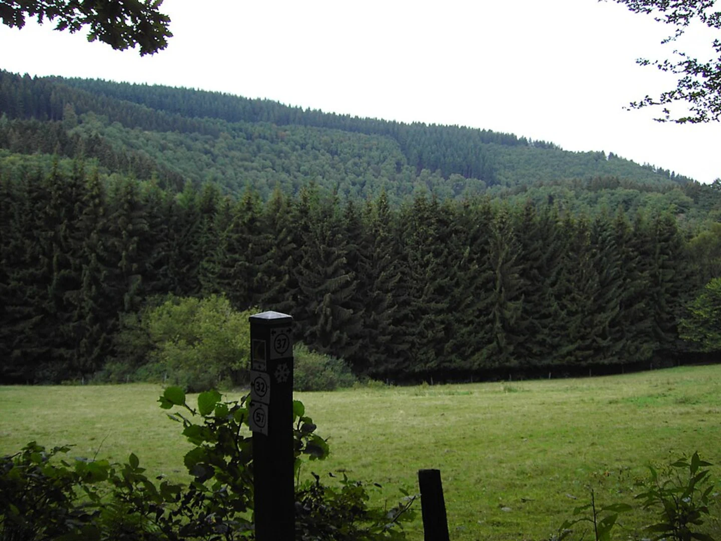 An image depicting the trail Rohren Holz-Mühlenrad Loop and its surrounding area.