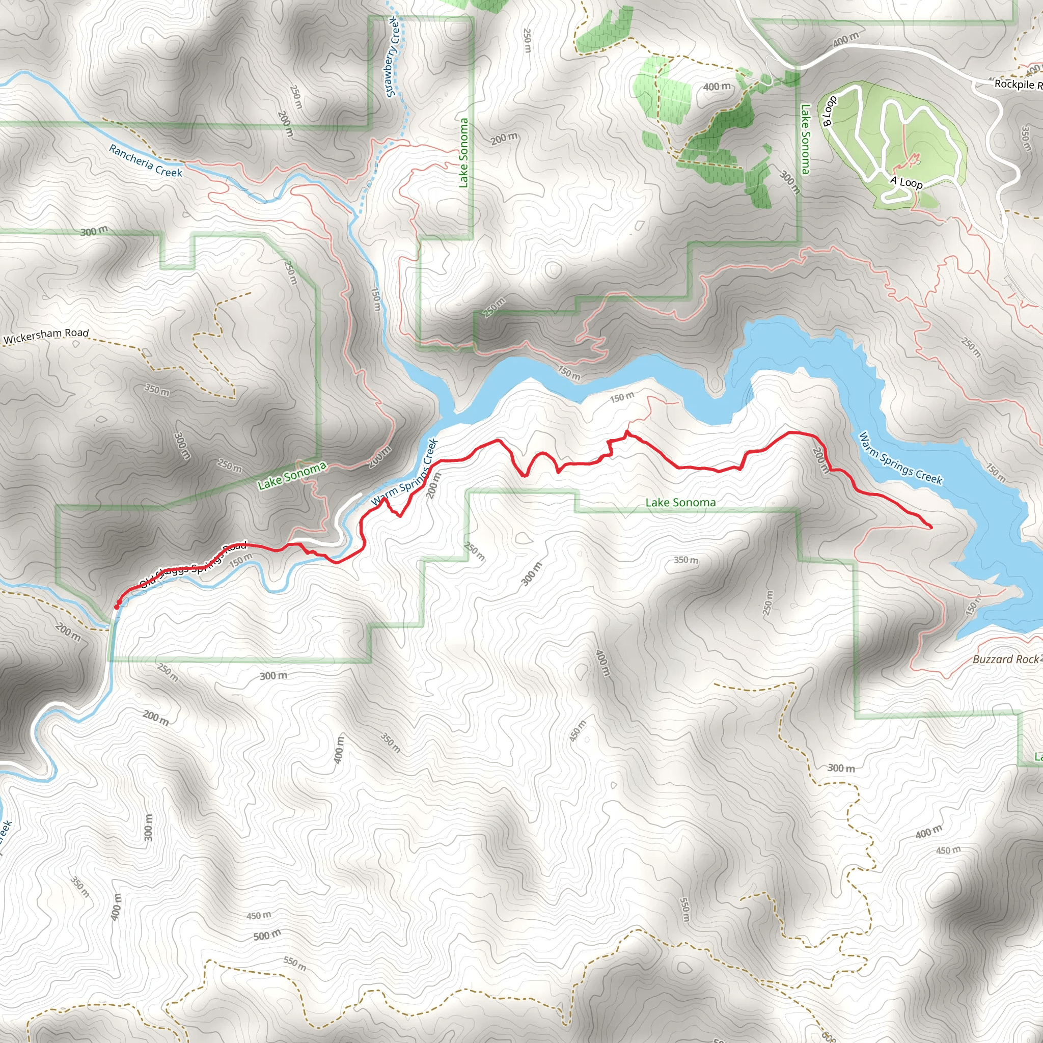 Buck Pasture via South Lake Trail mobile static map