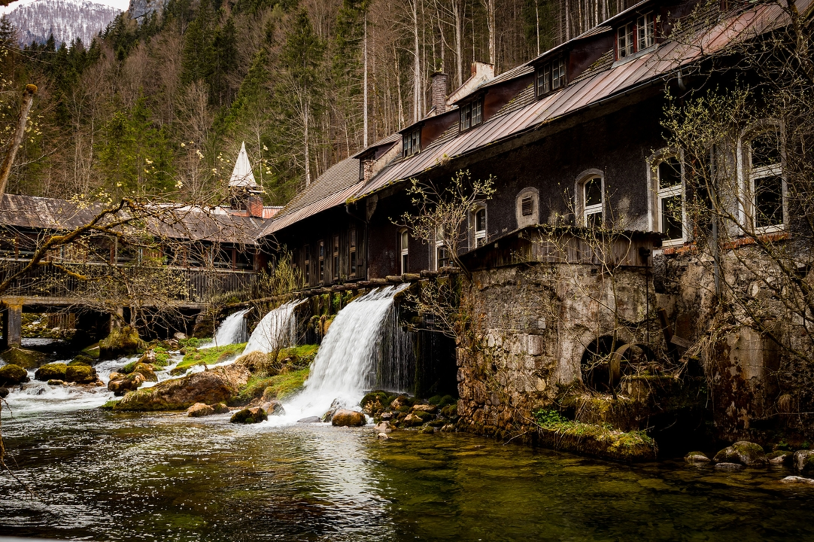 An image depicting the trail Pießling Spring and its surrounding area.