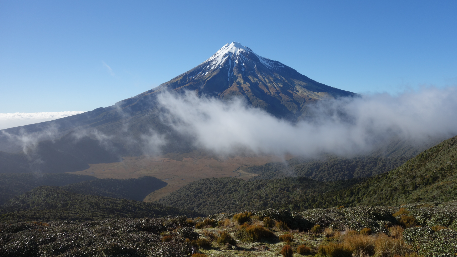 An image depicting the trail Ahukawakawa Track and its surrounding area.