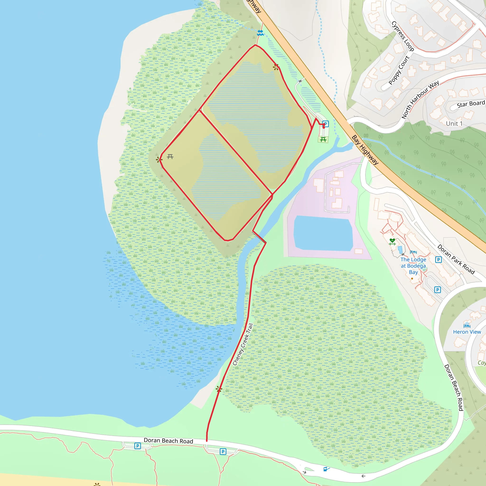 Cheney Creek Loop Trail mobile static map