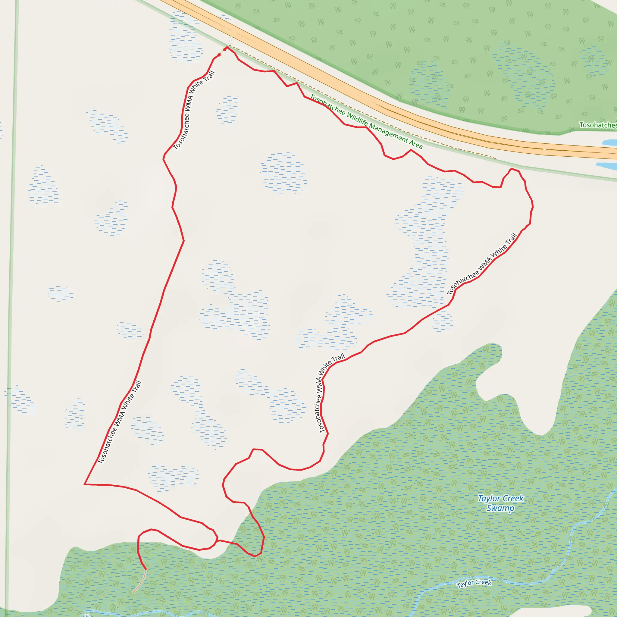 Tosohatchee WMA White Loop Trail mobile static map