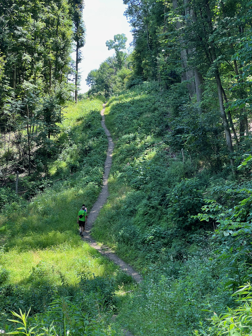 An image depicting the trail Turtle Creek via Duff Park Murrysville Hiking Trail and its surrounding area.