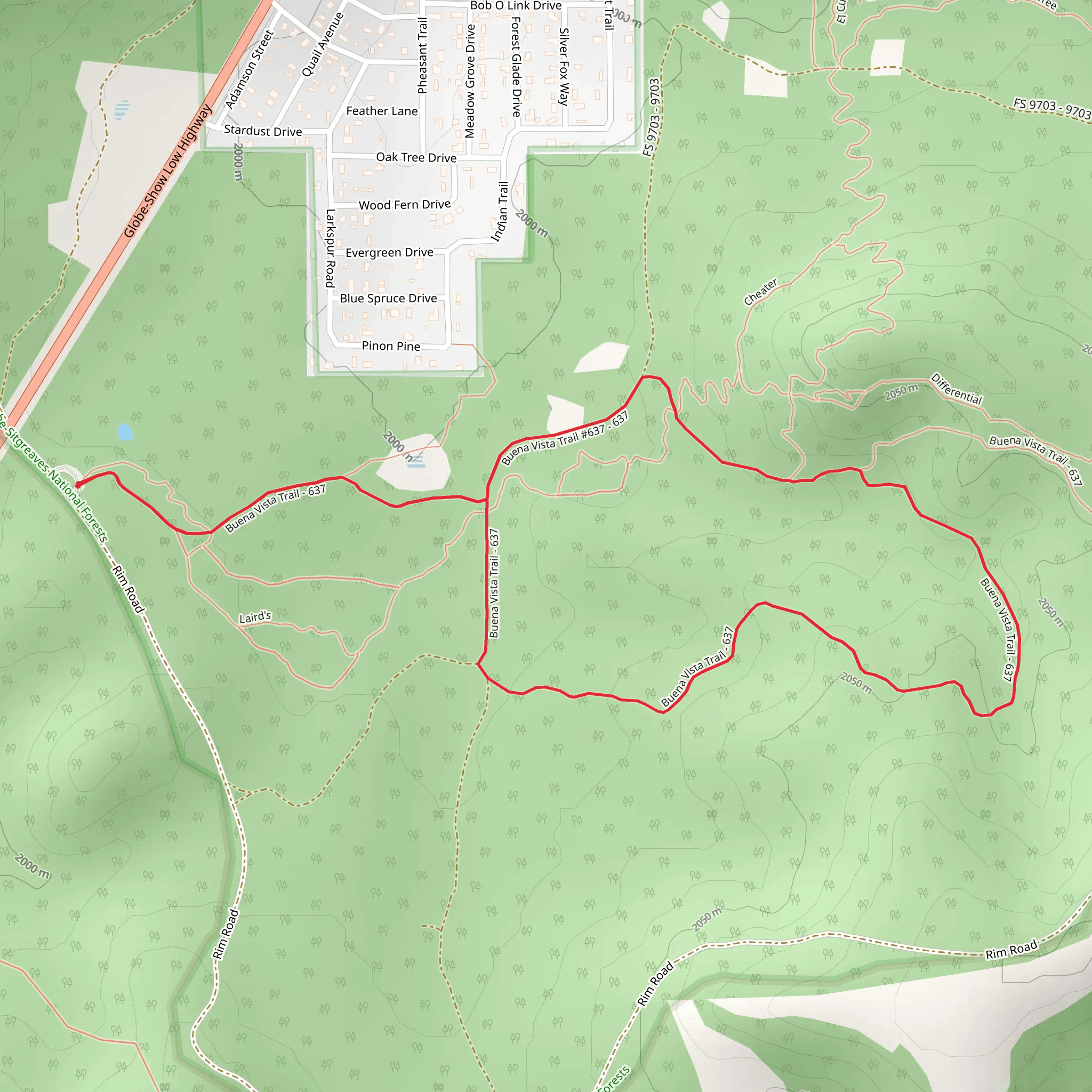 Buena Vista Short Loop Trail mobile static map