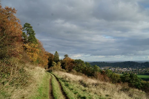 An image depicting the trail Westhumble to Holmwood Walk and its surrounding area.