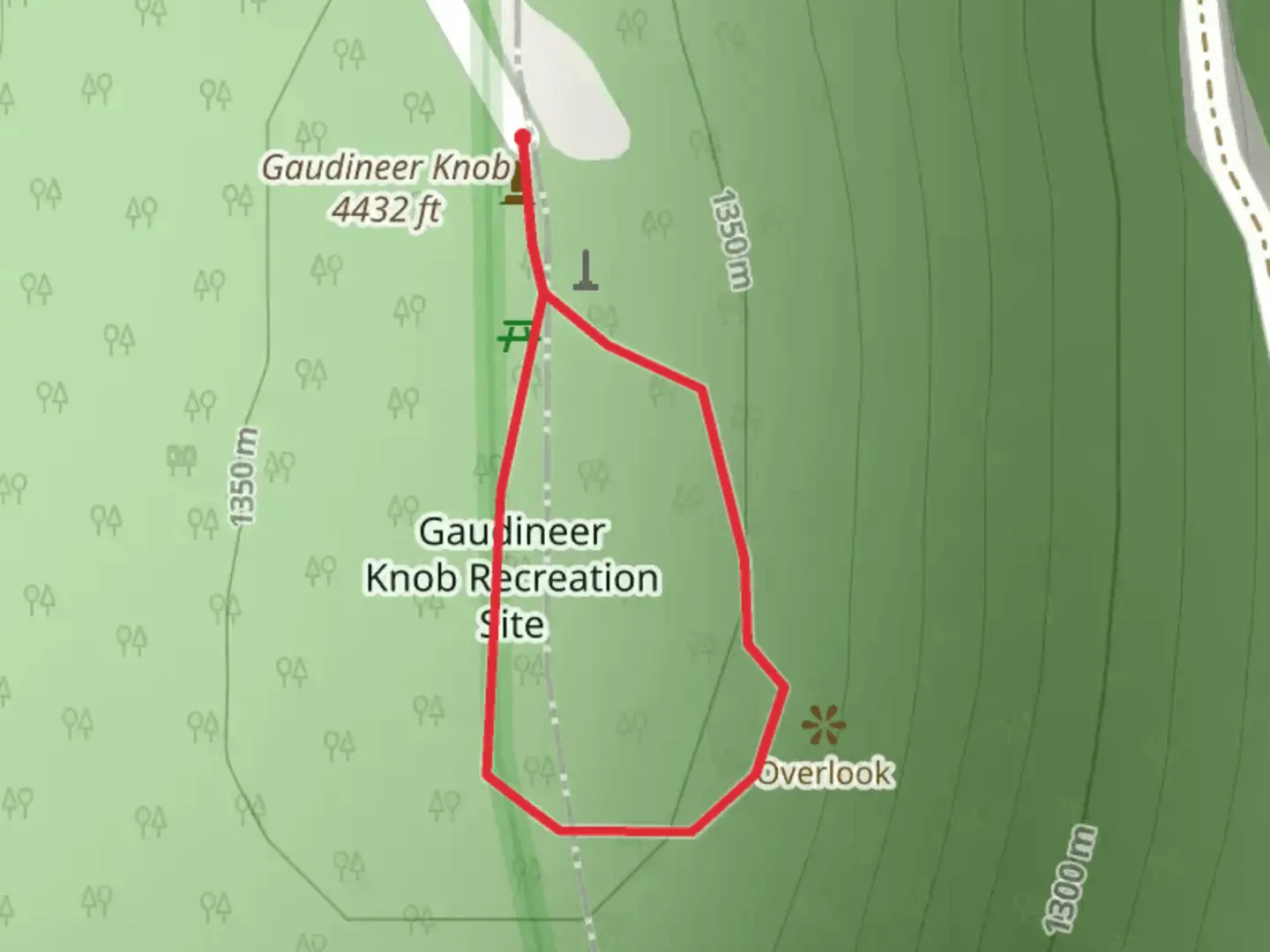 An image depicting the trail Gaudineer Knob Loop and its surrounding area.