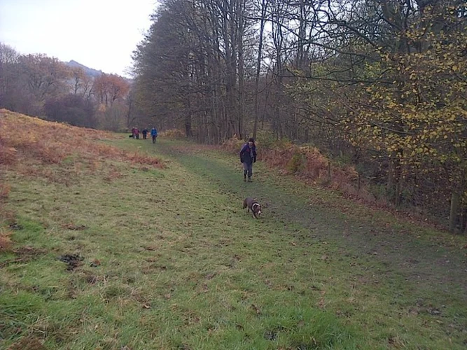 Abbey Bank Wood and High Kilburn Loop