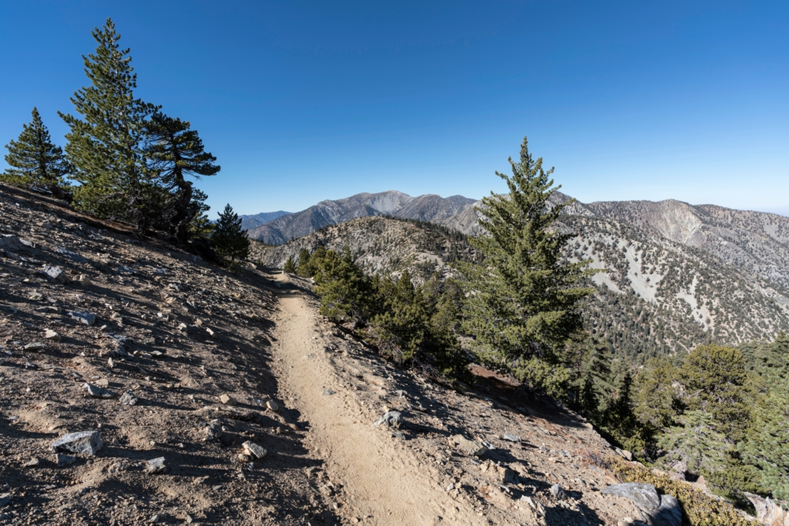 An image depicting the trail San Gabriel Peak Trail and its surrounding area.