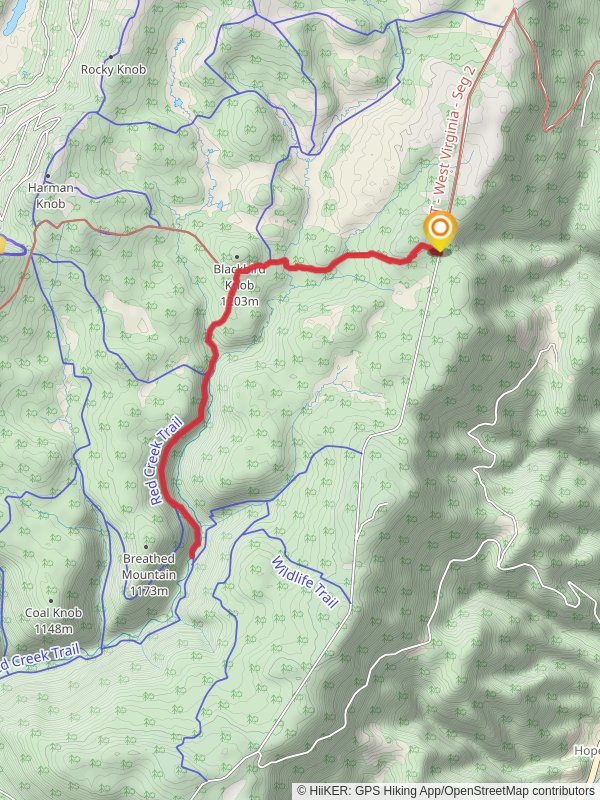Red Creek and Blackbird Knob Trail