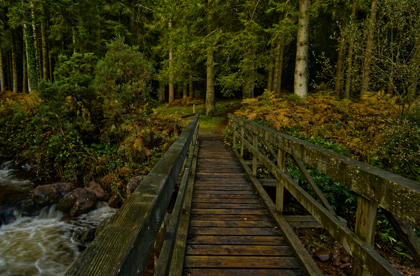 An image depicting the trail Glengarra - Loop Walk and its surrounding area.
