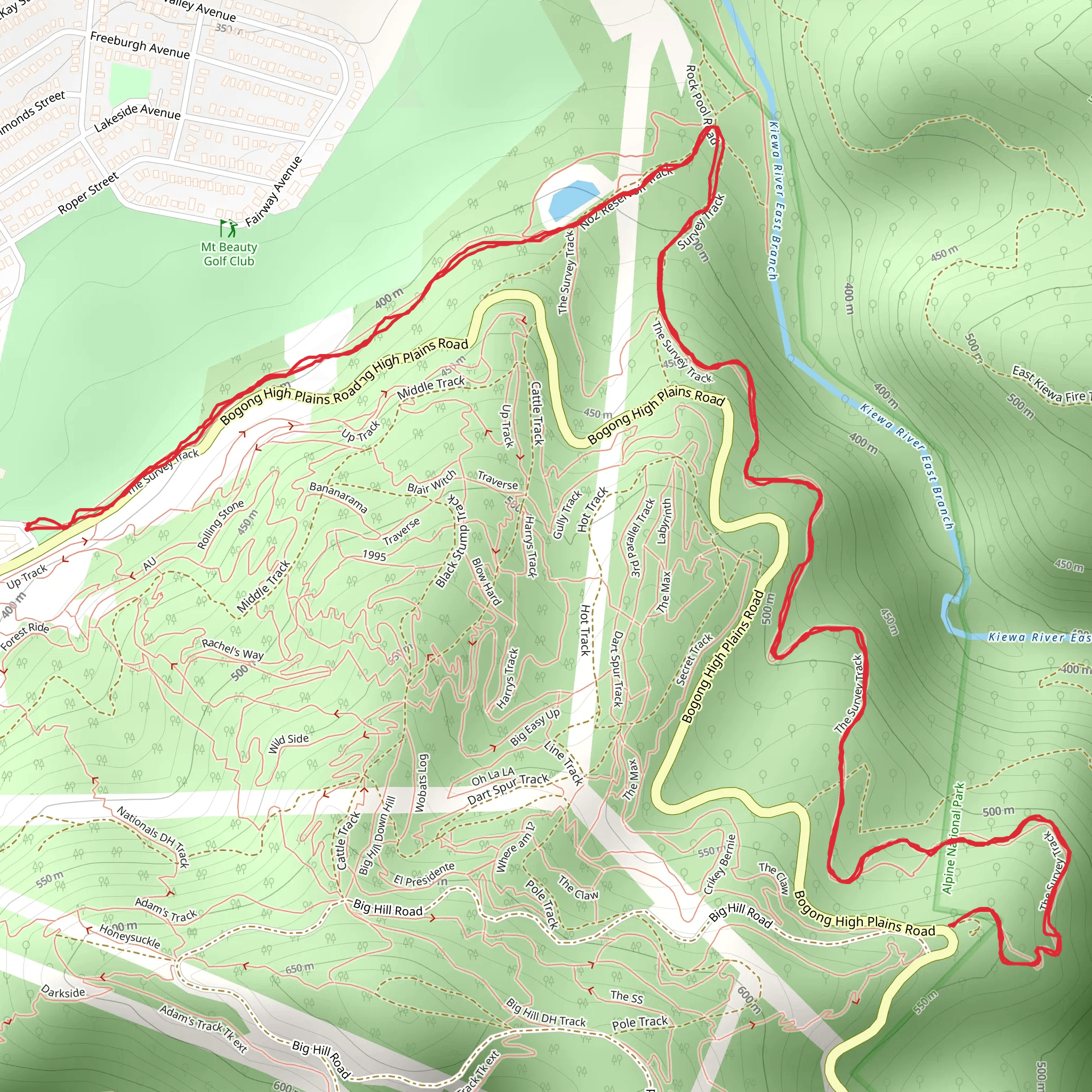 Survey Track mobile static map