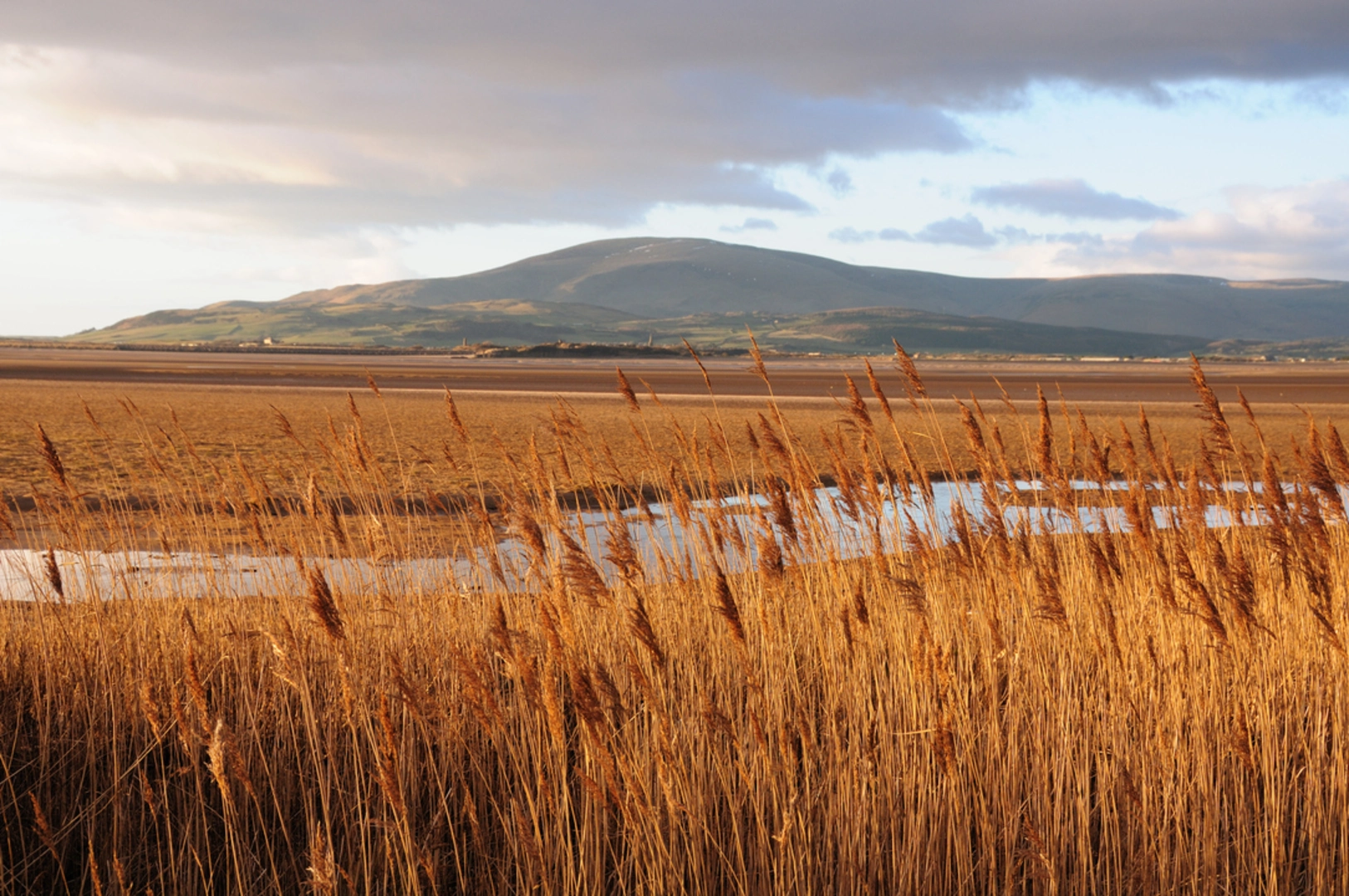 An image depicting the trail Black Combe Loop via White Combe and its surrounding area.