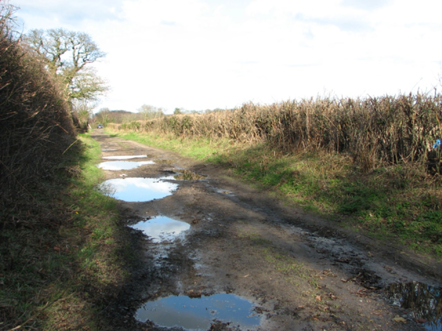An image depicting the trail Blundeston to Oulton Broad Walk and its surrounding area.