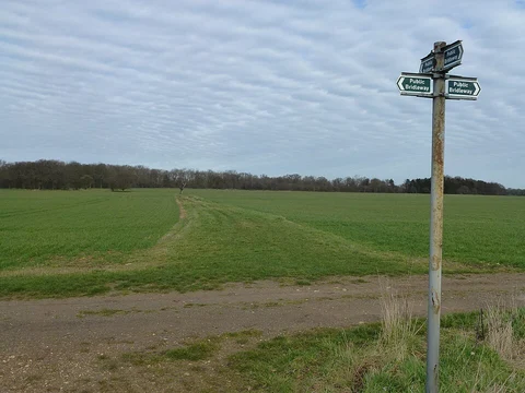 An image depicting the trail Castor Hanglands NNR and its surrounding area.