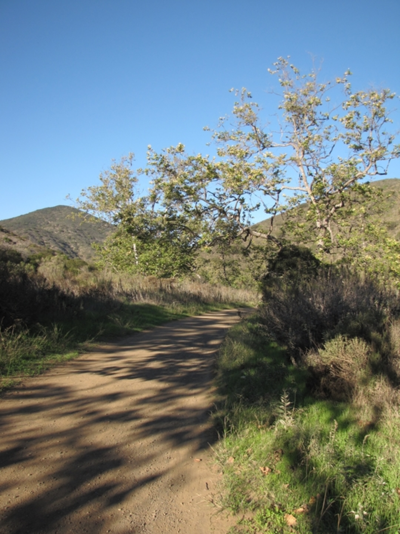 An image depicting the trail Coyote Trail and its surrounding area.