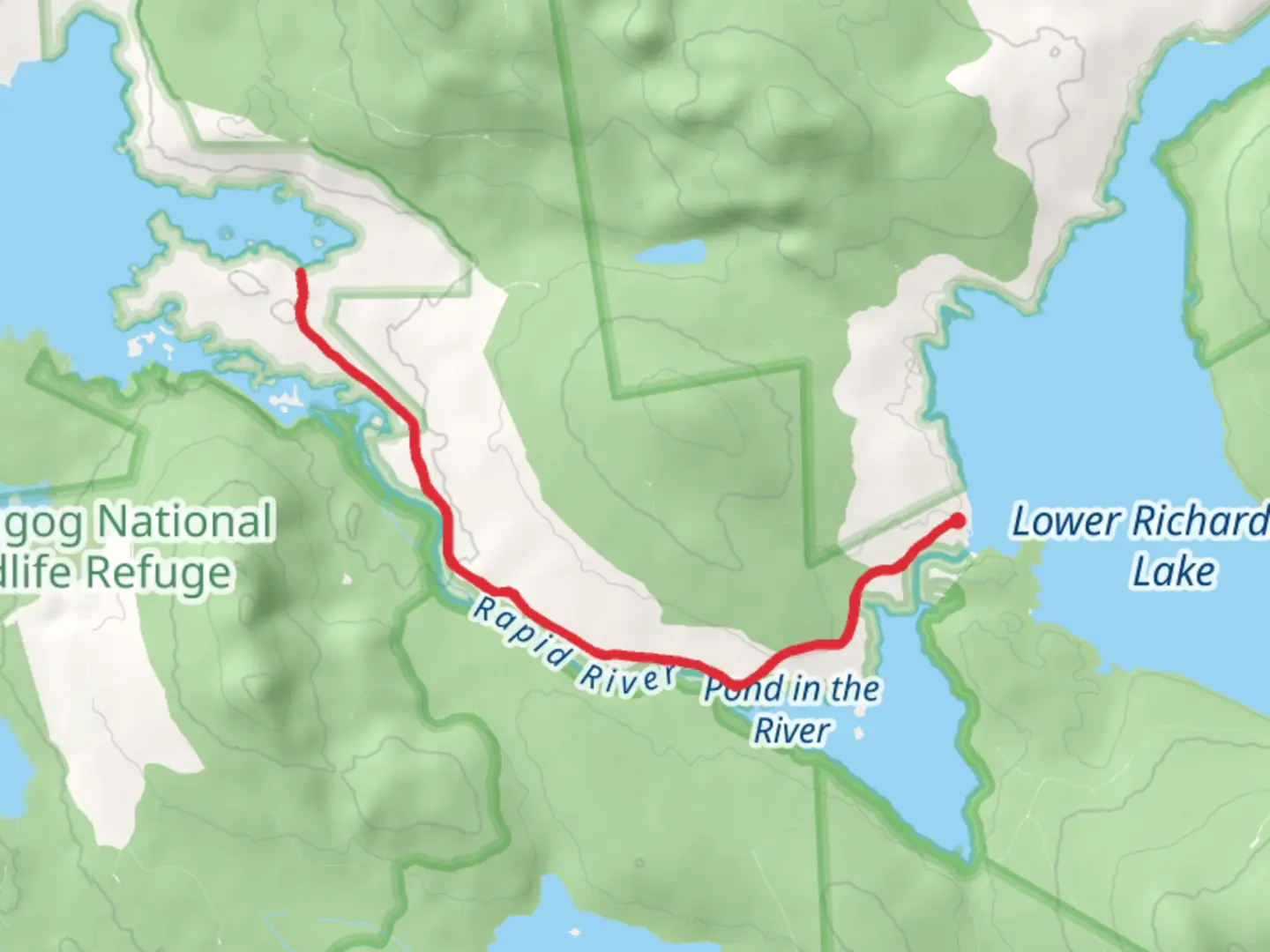 An image depicting the trail Umbagog Lake Trail from Middle Dam and its surrounding area.