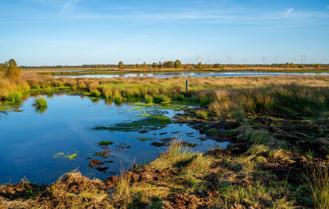 Oosterveen and Bargerveen Loop