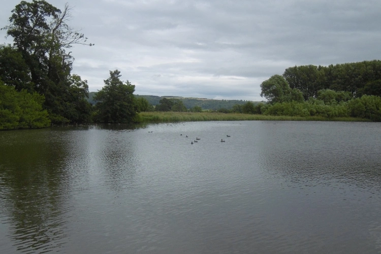 Brandsby to Easingwold Walk
