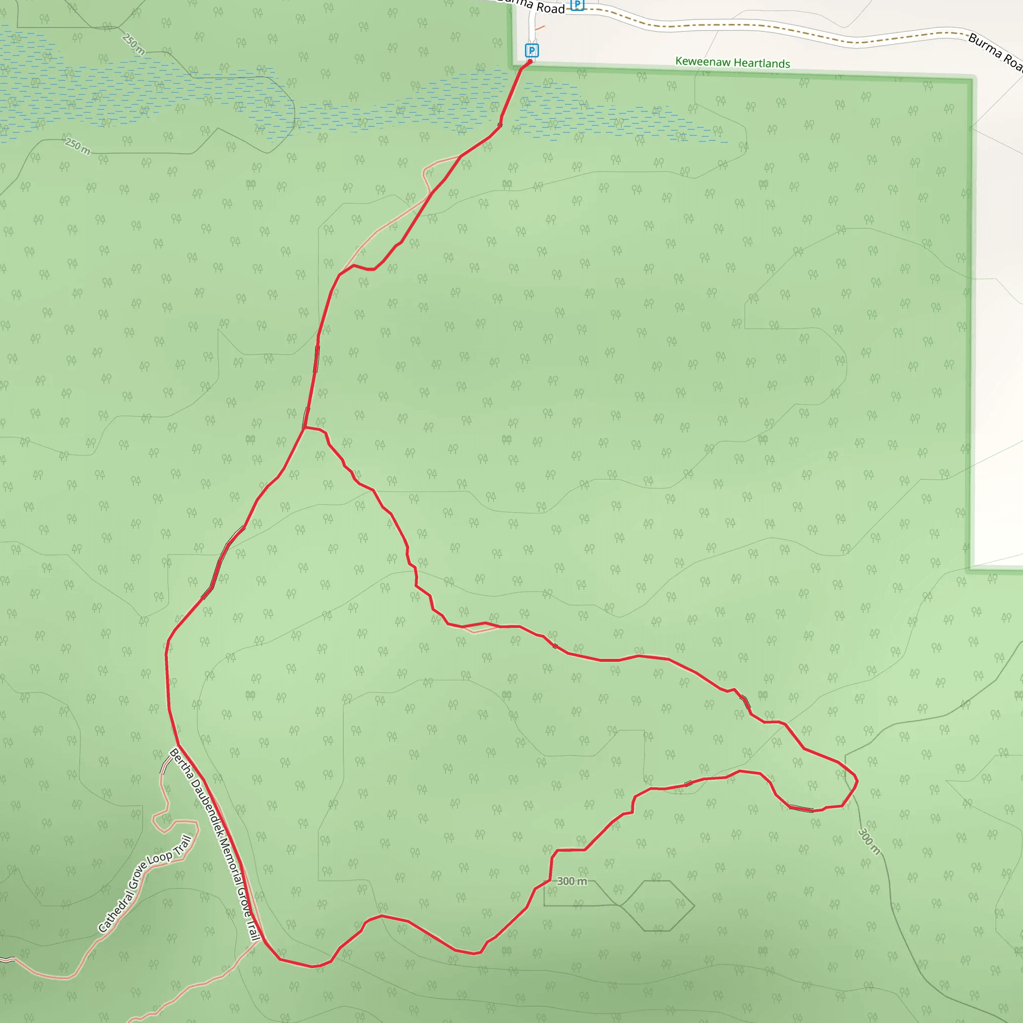 Bertha Daubendiek Memorial Grove Trail Loop mobile static map