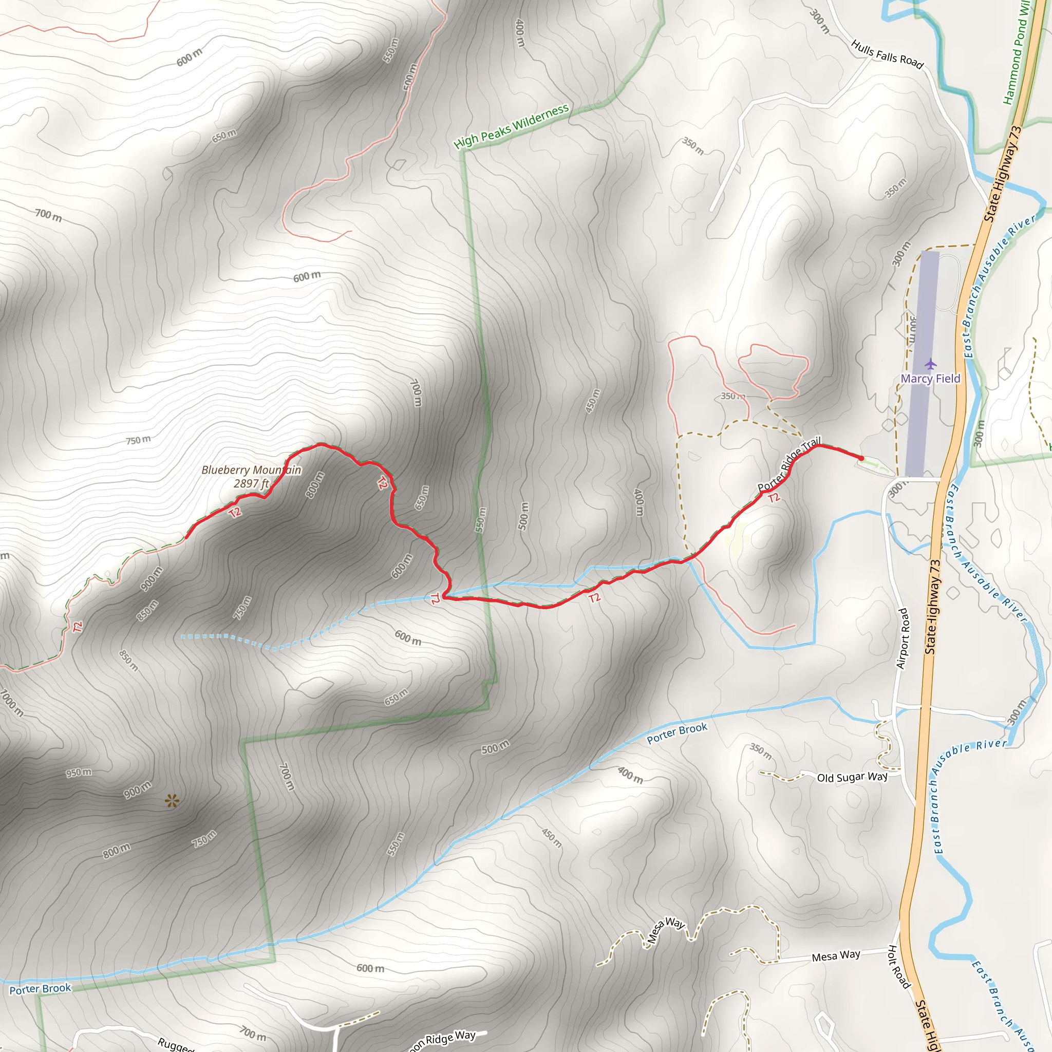 Blueberry Mountain via Porter Ridge Trail mobile static map