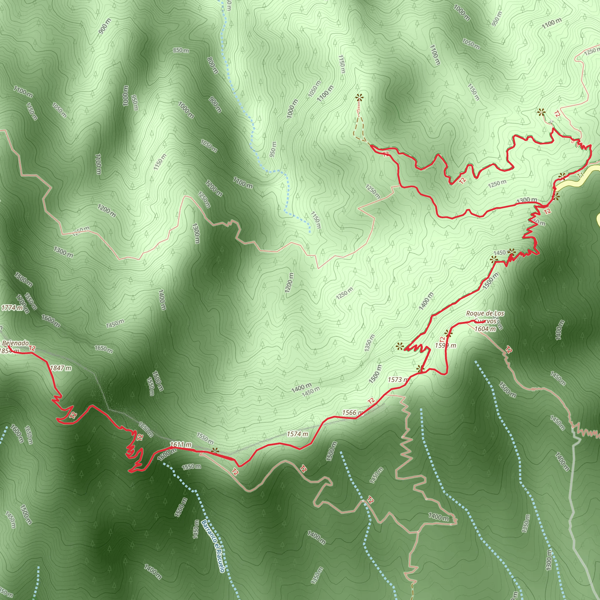 Pico Bejenado Loop from Buenavista de Arriba mobile static map