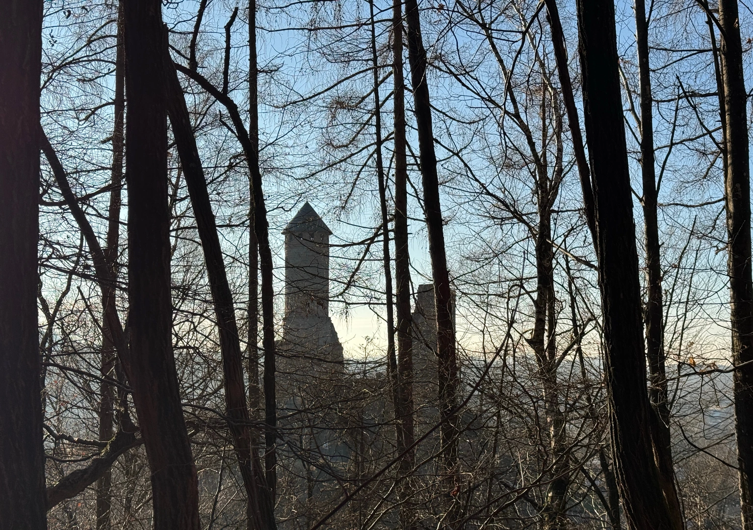 An image depicting the trail Kirkel - Wörschweiler - über 7 Fichten and its surrounding area.