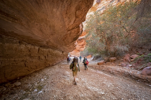 Havasu Falls Trail