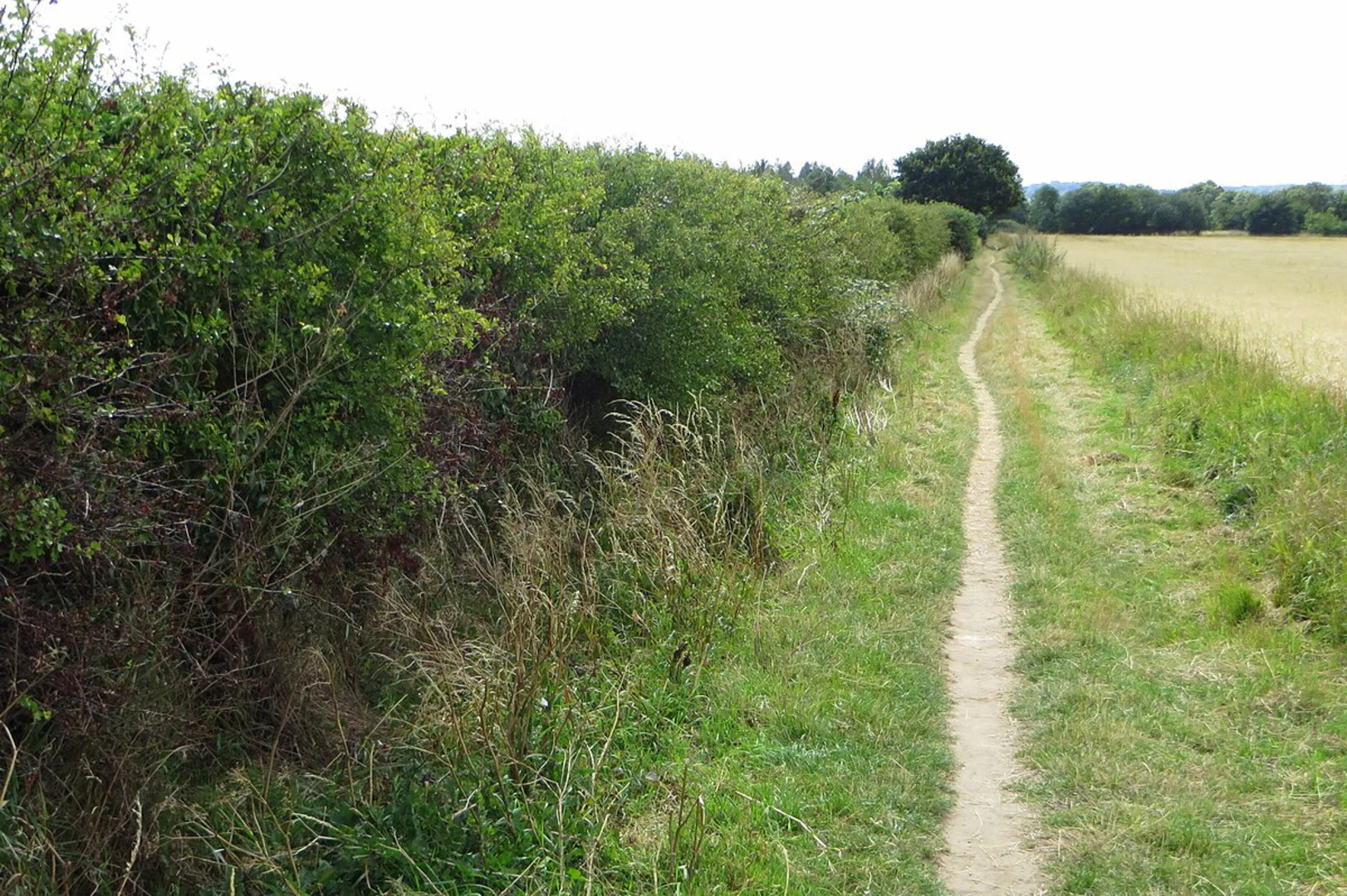 An image depicting the trail Water end Cople Loop and its surrounding area.
