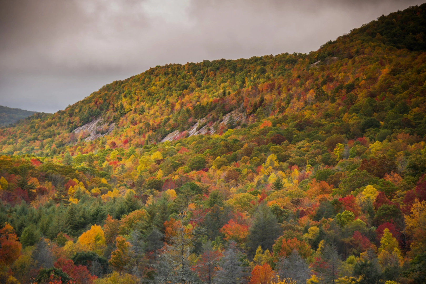 An image depicting the trail Deep Gap and Wilderness Falls Loop Trail and its surrounding area.