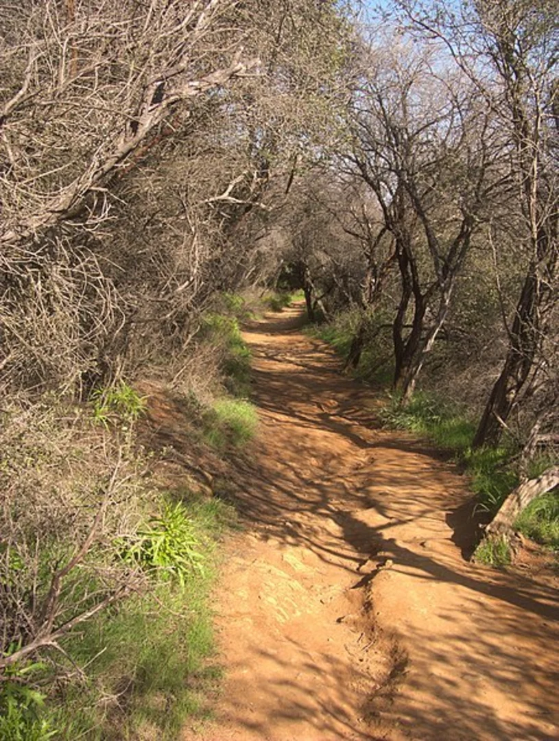 An image depicting the trail Temescal Canyon Loop Trail and its surrounding area.