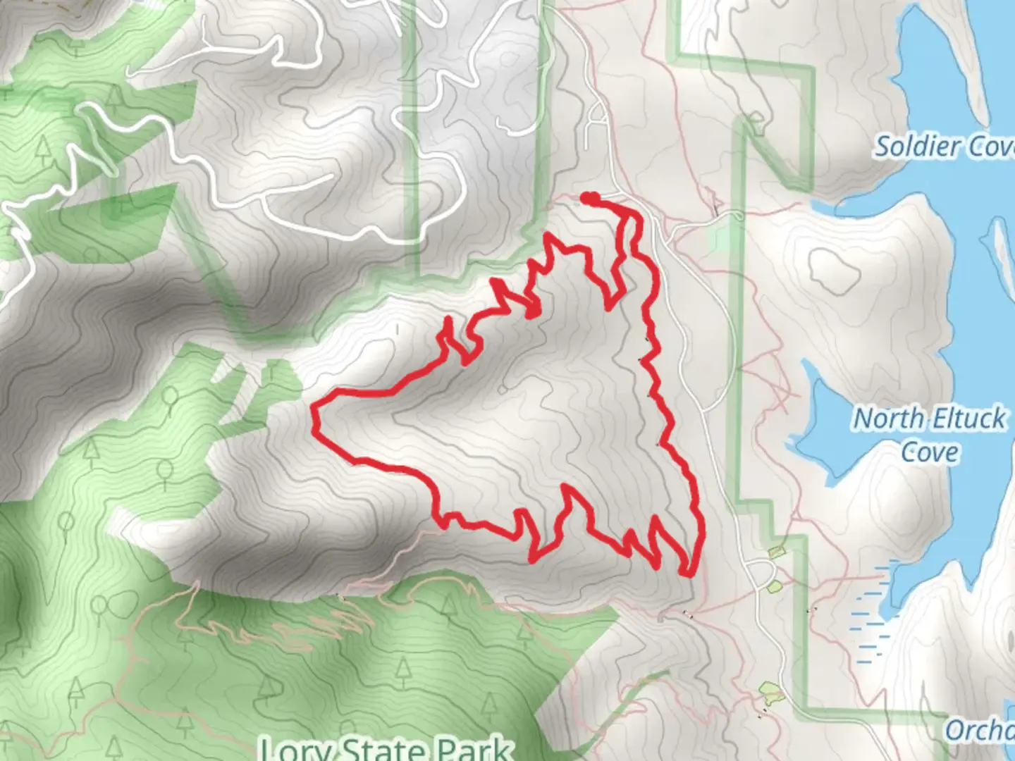 An image depicting the trail Timber Loop Trail and its surrounding area.