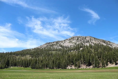 An image depicting the trail Kelly Camp Trail via PCT - California Section N and its surrounding area.