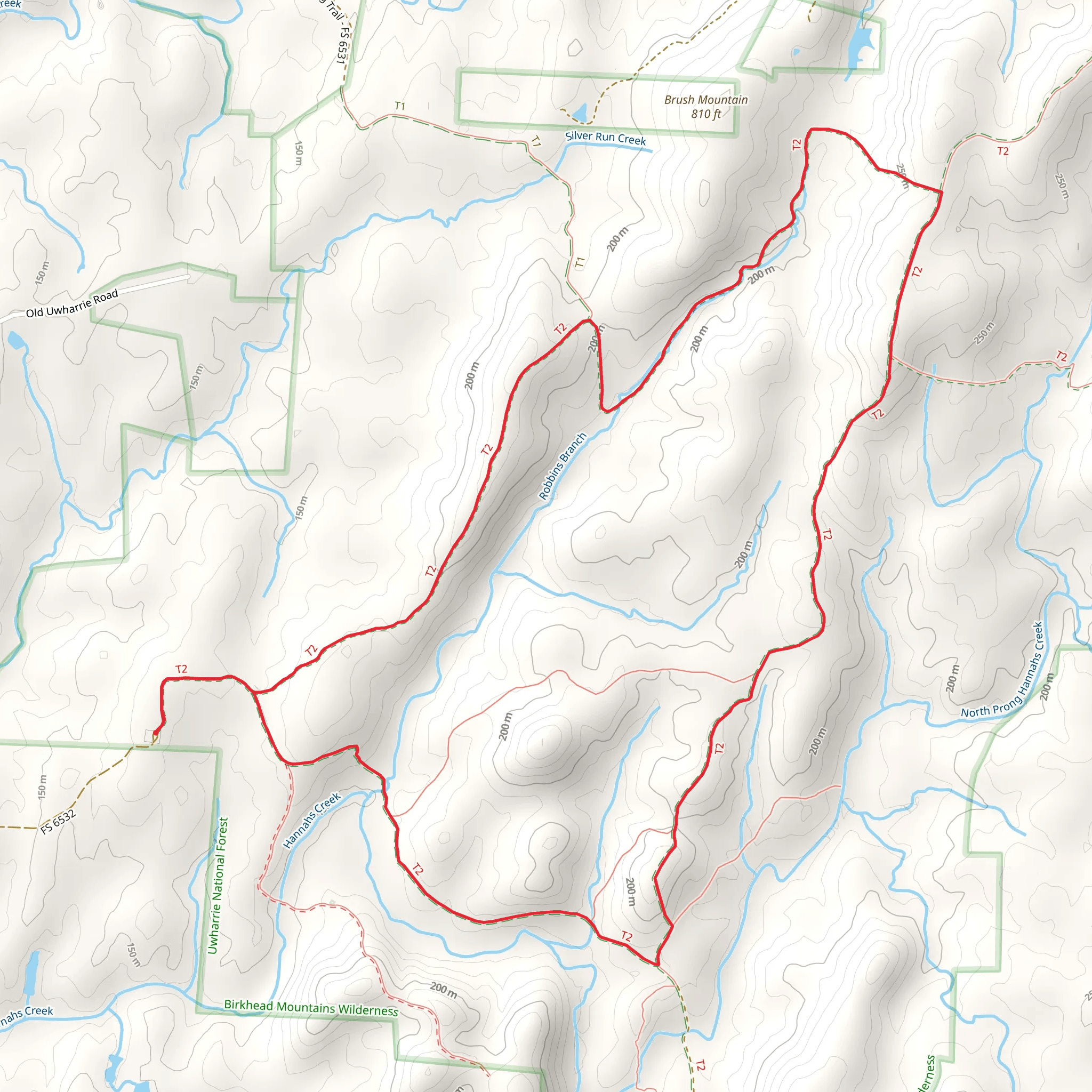 Robbins Branch, Birkhead Mountain and Hannah's Creek Loop Trail mobile static map