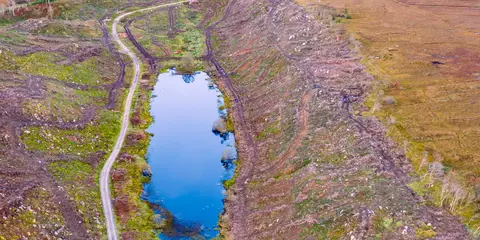 An image depicting the trail Bonny Glen Wood - Bonny Glen Walk and its surrounding area.