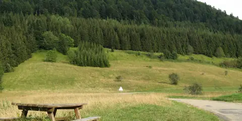 An image depicting the trail GR 509 - GTJ la Grande Traversée du Jura and its surrounding area.