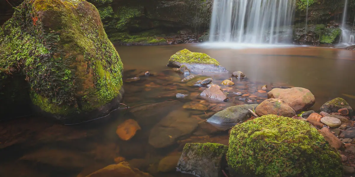 Cloughton and Hayburn Wyke Walk