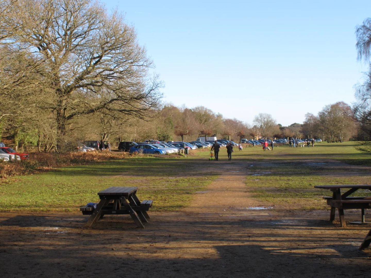 An image depicting the trail Burnham Beeches Loop and its surrounding area.