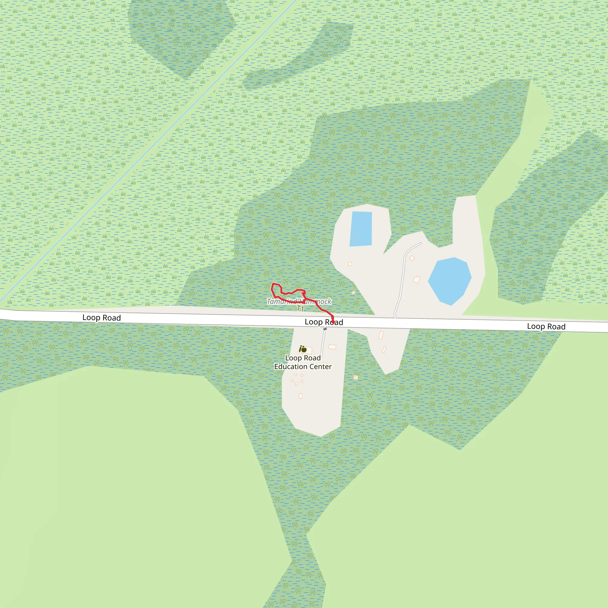 Tree Snail Hammock Loop Trail mobile static map