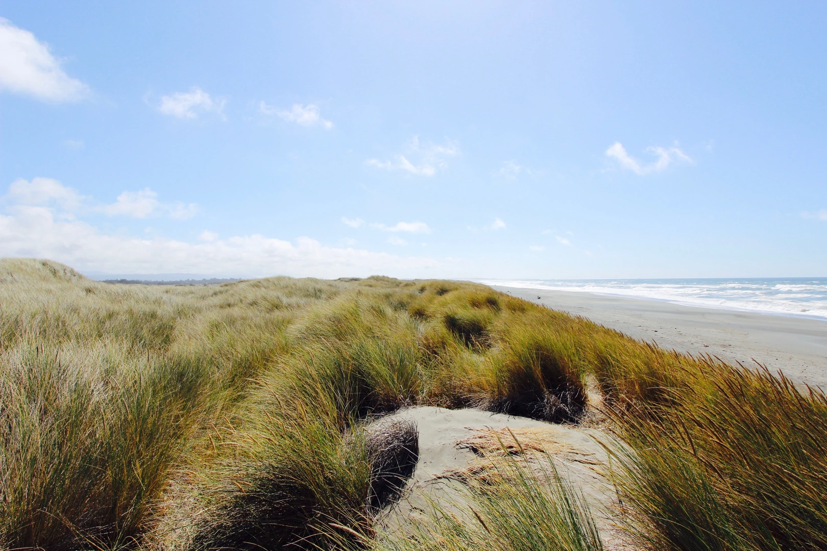 An image depicting the trail Sand Hill Road and its surrounding area.