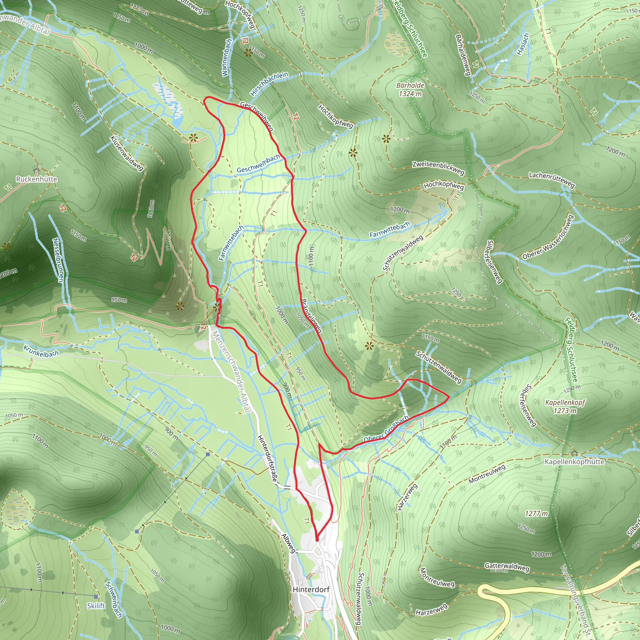 Menzenschwander Waterfall and Geißenpfad Menzenschwand Loop mobile static map