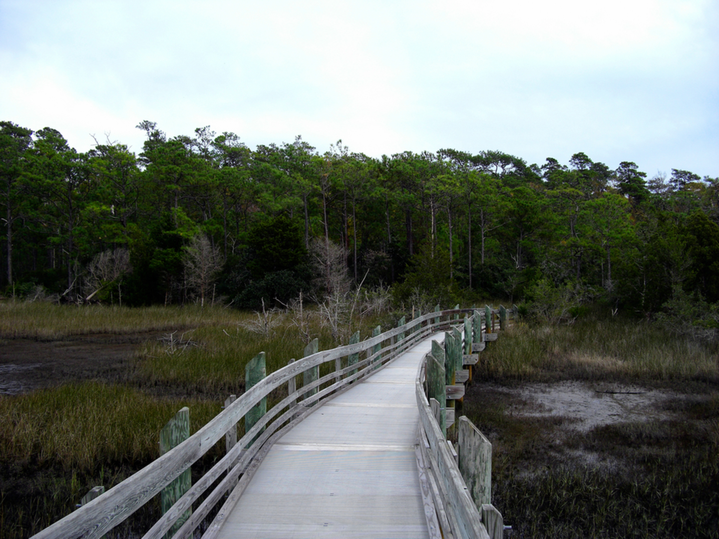 An image depicting the trail Cedar Point Tideland Trail and its surrounding area.