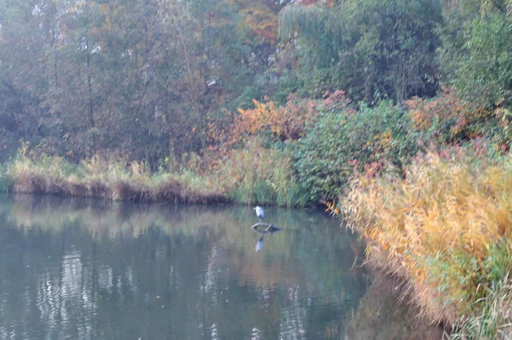 An image depicting the trail Buer Rundweg Loop and its surrounding area.