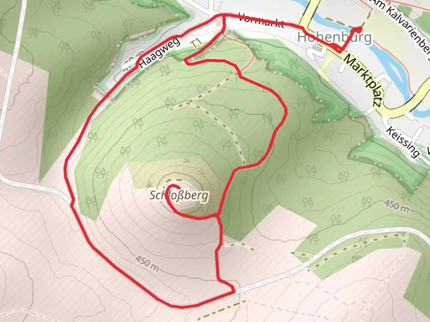 An image depicting the trail Burgruine Hohenburg Loop and its surrounding area.